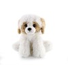 The Petting Zoo Havanese Dog Stuffed Animal Plushie, Gifts for