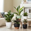 FaithLand 3-Pack Large Planter Pots, 12 10 9 Inch Self