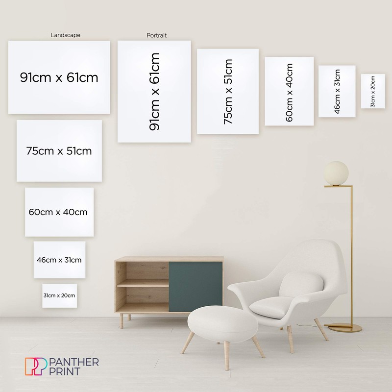 Panther Print Fine Art Prints Dark Night Sky Falling Stars