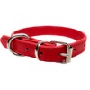 Vibrant Leather Dog Collar for Puppy, Cat, Kitten, Dogs -