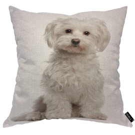 EKOBLA Cute Dog Throw Pillow Cover Maltese Fur Canine Domestic Animal White Purebred Mammal Portrait Cozy Square Cushion Case for Men Women Boys Girls Room Home Decor Cotton Linen 18x18 Inch