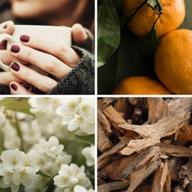 Glade Plug In Air Freshener, Electric Scented Oil Holder & Refill, Sandalwood & Jasmine, 1 Holder + 20ml Refill