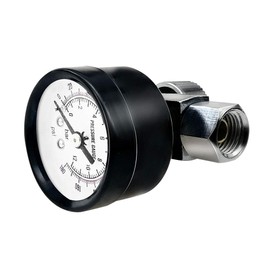 Beduan Flow Control Valve, 1/4" NPS Water Pressure Reducer Adjustable Control Valve with Gauge