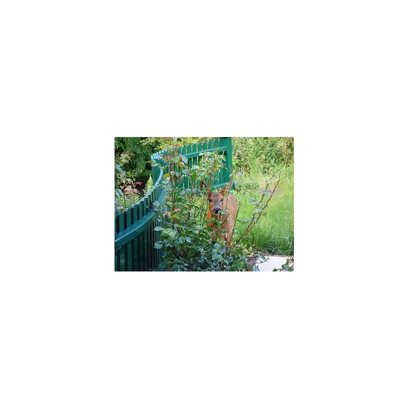 Deer Scram Professional Deer Repellent 10lb Bag