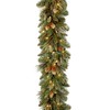 National Tree Company 9 ft Pre-Lit Carolina Pine Artificial Christmas