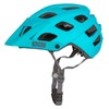 IXS Enduro EVO Grape MTB Helmet