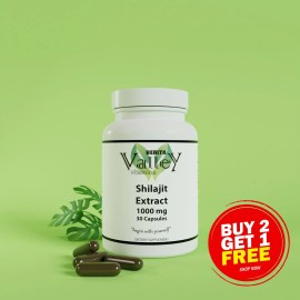 HEALTH VALLEY VITAMINS Shilajit Extract 1000mg, Stress, Anxiety, Skin Vitality, Healthy Heart, Fatigue
