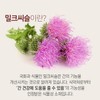 Smileen Liver Health Silymarin Milk Thistle Vitamin Containing Nutritional Supplement