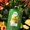 Shampoo Sin Sal Aguacate 865 ml Bio:Renew Herbal Essences