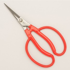 東北打刃物 新国光 剪定鋏 ステンぶどう鋏