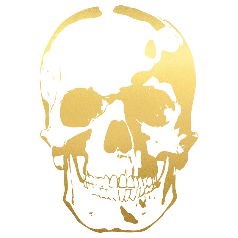 Finest Folia Skull Sticker Car Boat Motorcycle Caravan Decor K065
