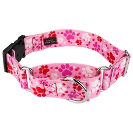 Country Brook Petz - Puppy Love Martingale Dog Collar with Deluxe Buckle - Affection Collection Featuring Designs You'll Adore (1 1/2 Inch, Medium)