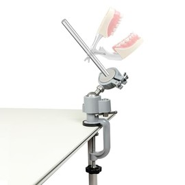 Typodont - Soporte de entrenamiento para modelo de dientes de poste, montaje fijo en el computadora, maniquí de entrenamiento, escuelas dentales, educación, práctica, Typodont, movimiento de