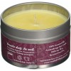 rareEarth Passion Travel Tin Candle