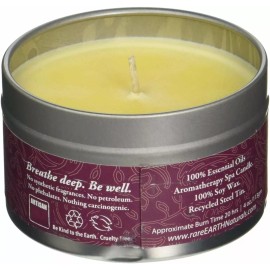 rareEarth Passion Travel Tin Candle