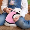 Tibapla Adjustable Rabbit Harness with Elastic Lead, Recall Lead for