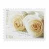 100 FOREVER STAMPS 5 SHEETS White Rose Wedding Invitations