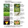 くま笹珪素ウィルプラス【くま笹珪素（植物性シリカ）に還元発酵乳酸菌をプラス 全成分天然由来 くま笹 ドクダミ 赤紫蘇 稲若葉 スギナ びわ葉 風化貝Ca 化石サンゴCa