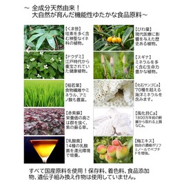 くま笹珪素ウィルプラス【くま笹珪素（植物性シリカ）に還元発酵乳酸菌をプラス 全成分天然由来 くま笹 ドクダミ 赤紫蘇 稲若葉 スギナ びわ葉 風化貝Ca 化石サンゴCa 還元発酵乳酸菌 配合 35g】