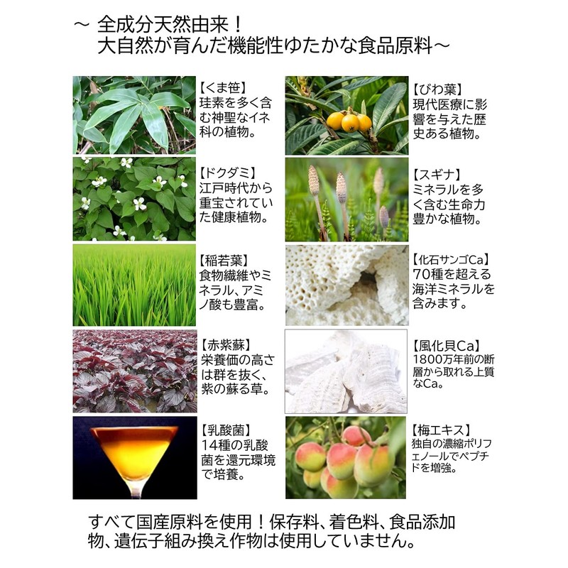 くま笹珪素ウィルプラス【くま笹珪素（植物性シリカ）に還元発酵乳酸菌をプラス 全成分天然由来 くま笹 ドクダミ 赤紫蘇 稲若葉 スギナ びわ葉 風化貝Ca 化石サンゴCa