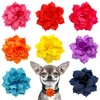 PET SHOW Dog Charms Flower Collar Accessories For Cat Puppy