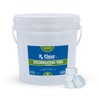 Rx Clear 1" Inch Chlorine Tabs | 8 Pounds |