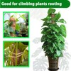 Moss Pole, 2 Pack 17 Inch Monstera Plant Support for
