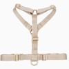 Nylon No Pull Dog Harness with Gold Metal Buckles,Easy Walking