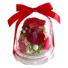 Florist Mann Preserved Flowers, 60th Birthday Celebration, Women, Red, Mother,