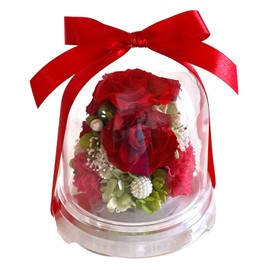 Florist Mann Preserved Flowers, 60th Birthday Celebration, Women, Red, Mother, Father, Birthday, Proposal, Gift, Wedding Anniversary, Dome, Flower, Rose (Red)