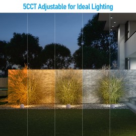 LEONLITE 5CCT LED Rock Lights Outdoor, 5W Low Voltage Landscape Spot Light for Garden, Yard, Decorative Stone Light, 12-24V AC/DC, CRI90, 200lm, IP65 Waterproof, Round, Light Gray, Pack of 2