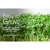 Gardeners Basics, Broccoli Seeds for Sprouting Kit and Microgreens Non-GMO,