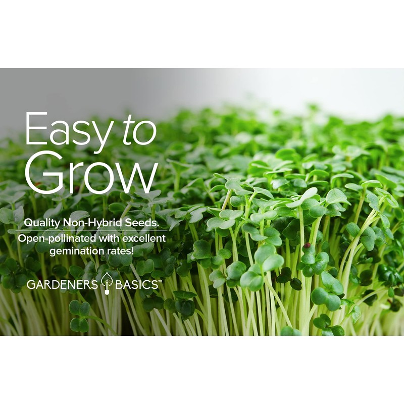 Gardeners Basics, Broccoli Seeds for Sprouting Kit and Microgreens Non-GMO,