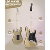 Leo Jaymz 39" Full Size ST Style Electric Guitar Starter