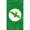 Green Concept Stevia Líquida 100% Natural 30 ml Endulzante en