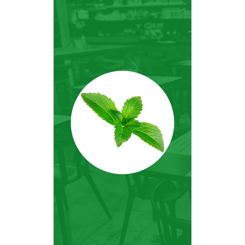 Green Concept Stevia Líquida 100% Natural 30 ml Endulzante en