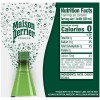 Perrier Maison Perrier Ultimate Sparkling Water 16.9 Fl Oz 6