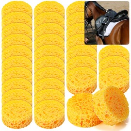 30 Pcs Tack Cleaning Sponges Horse Saddle Sponge Tack Sponges for Leather Saddle Horse Supplies Boot Crafts Ceramics Household Use and More, Medium Hole Round, 2.83 x 1.18 Inches