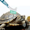 RAMGLYO 2 Pcs Turtle Cleaning Brush Turtle Shell Cleaning Brush