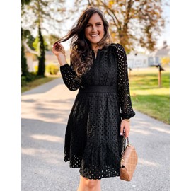 ZESICA Women's 2025 Long Sleeve Mini Dress Fall V Neck Hollow Out Eyelet Embroidery Ruffle A Line Swing Short Dresses,Black,Large