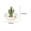 HOME SMILE Ceramic Cactus Ring Holder with Derorative White Dish