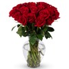 Benchmark Bouquets - 24 Stem Premium Red Roses (Glass Vase