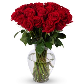 Benchmark Bouquets - 24 Stem Premium Red Roses (Glass Vase Included) - Fresh Flowers for Delivery - Gift for Graduation, Birthday, Anniversary, Sympathy, Get Well, Congratulations