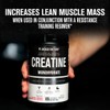 Creatine Monohydrate Powder 578g - Creatine Supplement for Muscle Growth,