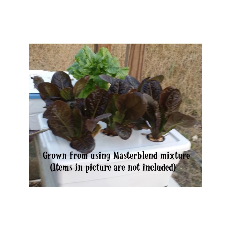 MASTERBLEND ® 4-18-38 Tomato & Vegetable Fertilizer (5 bs) FREE