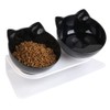 Raised Feeding Bowl, Cat Bowl, Tilted Cat Bowl, Raised Double