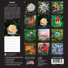 MICASA Flowers 2025 Wall Calendar 12 Month | 12" x 24" Open | Thick & Sturdy Paper | Giftable | Calendar 2025