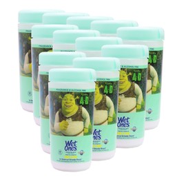 Wet Ones Sensitive Skin Hand Wipes,Shrek 4D, 40 Count Wipes/Pack (Pack of 12)