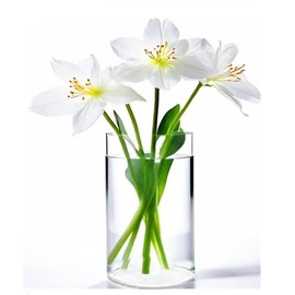 Esmiome Acrylic Cylinder Clear Vase Plastic Hurricane Flower Vases Round Glass Pot Container for Display Decor Tulips Wide Wedding Party, Home Table, Centerpieces, Shatter-Proof 6x12''(H)