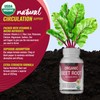 Organic Beet Root Powder Tablets - 2040mg Natural Nitric Oxide